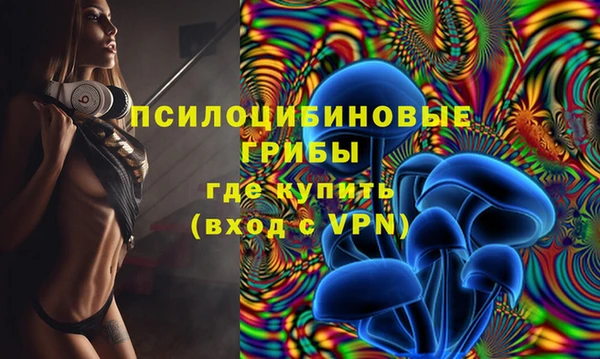 спиды Волоколамск
